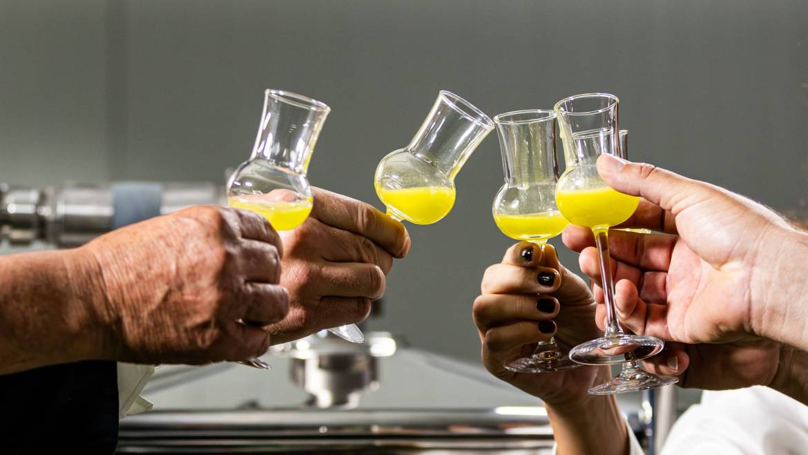 Kako prepoznati pravo ekstra djevičansko maslinovo ulje?