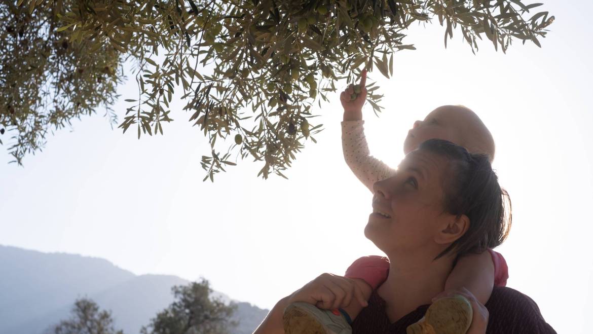 Maslinovo ulje za djecu – šta roditelji treba da znaju?